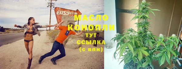 гашик Снежинск